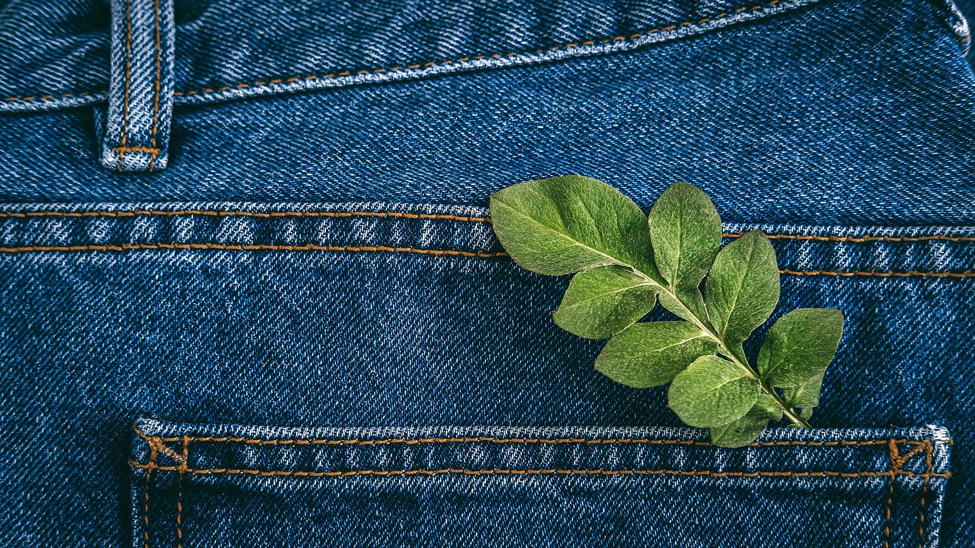 MEDinCHAMBERS Projesi – KOBİ Seçim Süreci Duyurusu