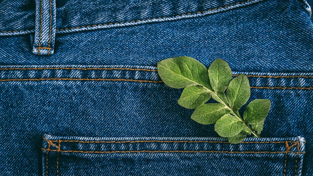 SERVICE CONTRACT NOTICE: External Expertise and Procurement for the MEDinCHAMBERS Project