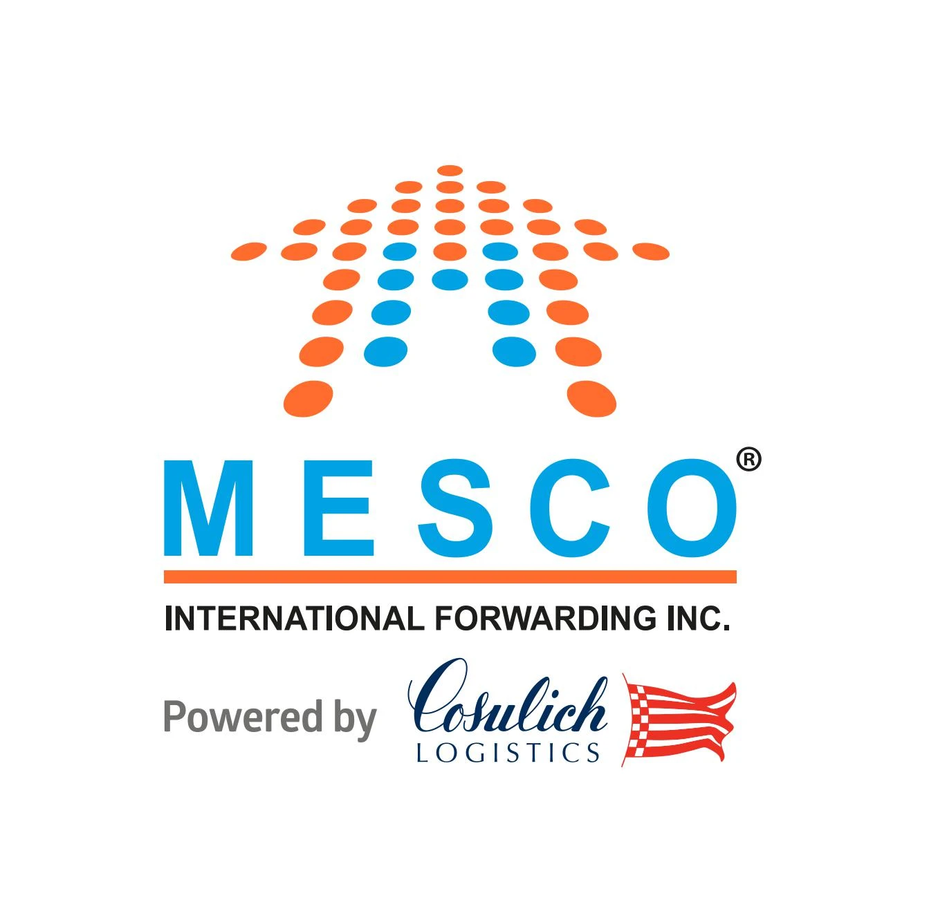 MESCO ULUSLARARASI TAŞIMACILIK İTHALAT İHRACAT TİCARET A.Ş.